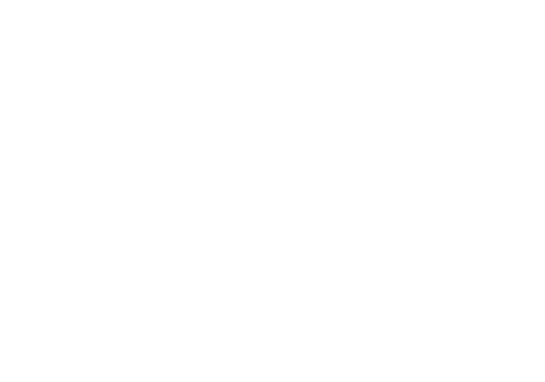 VRtual X